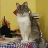 Отзыв от Инна Грибова